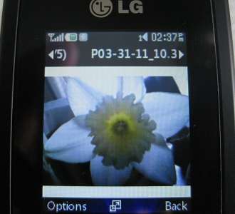 LG 420g image in Pictures folder