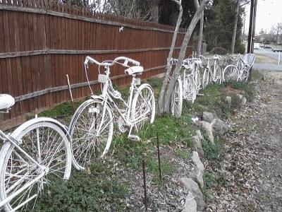 white bicycles in manassas
