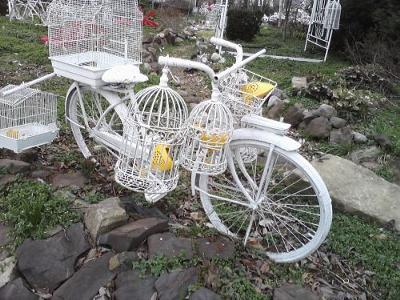 white bicycle in manassas