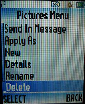Delete pictures from Motorola W376g