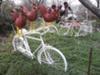white bicycle with roosters in manassas